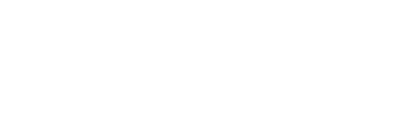 Boxwood Insurance Group - Logo 800 White